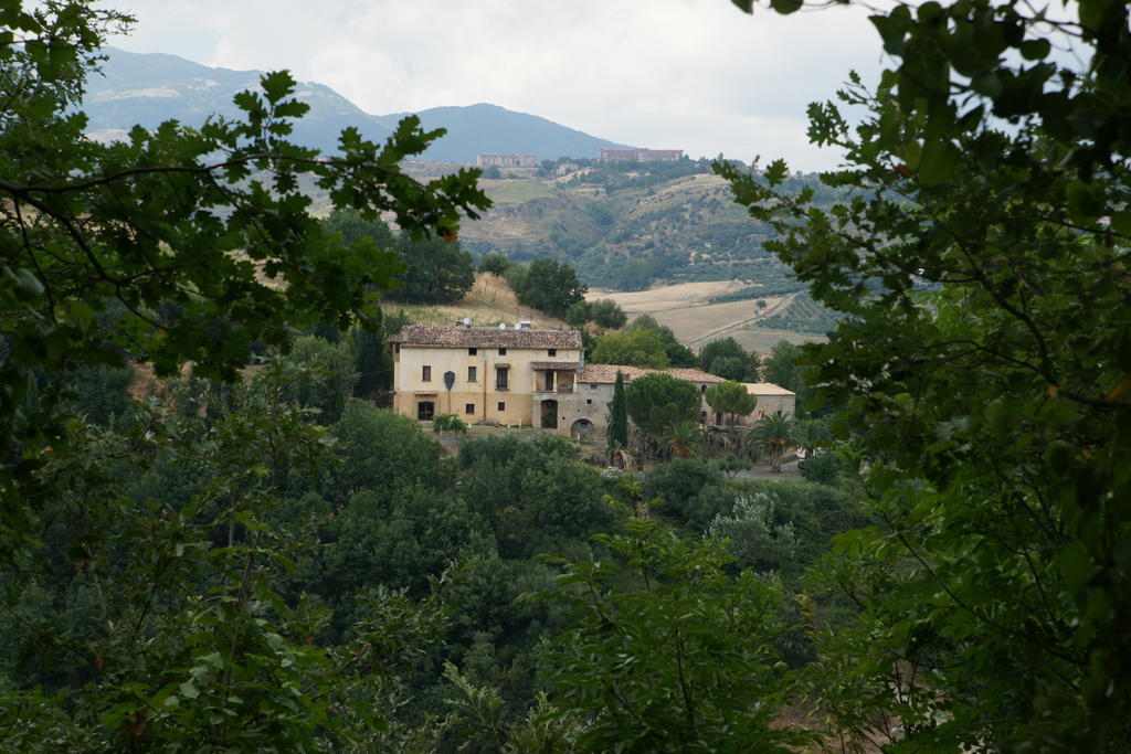 L'Anticocasale Guest House Altomonte Exterior photo